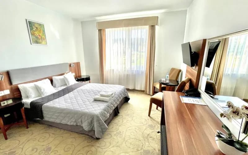 Established 3-Star Hotel & Hospitality Business – Near Kraków, Poland