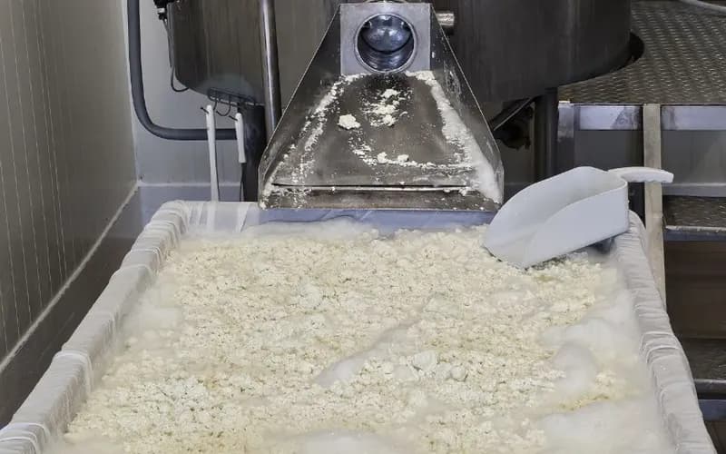 Paneer Cheese Manufacturing Business – Near Berlin, Germany