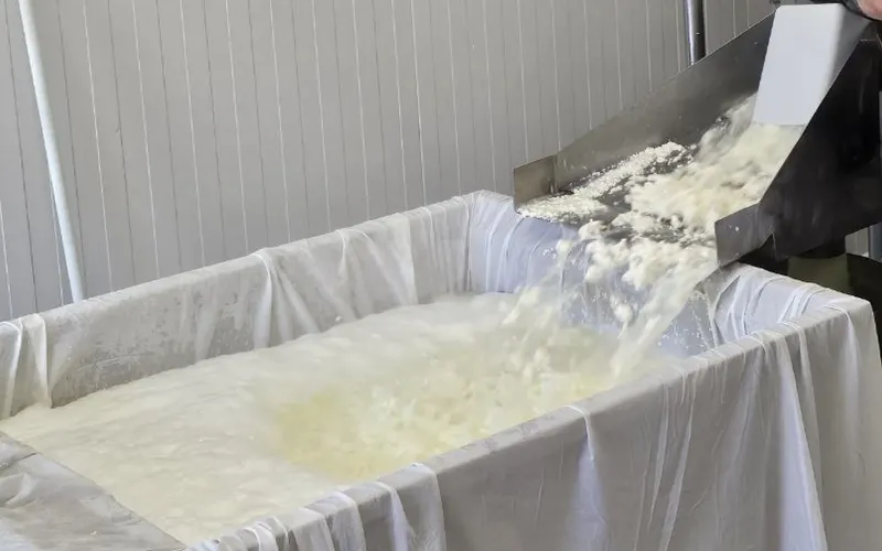 Paneer Cheese Manufacturing Business – Near Berlin, Germany