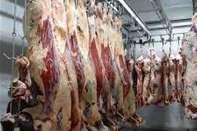 Premium London Wholesale Meat Distributor – Wandsworth