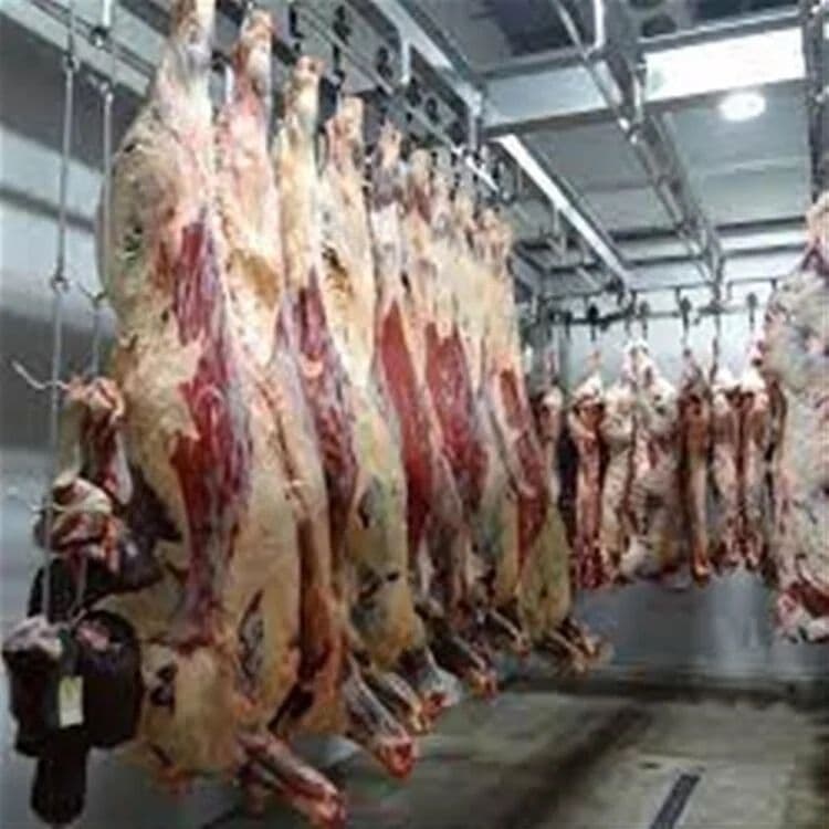 Premium London Wholesale Meat Distributor – Wandsworth photo 1